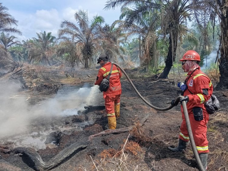 Tim Gabungan Masih Padamkan Karhutla di Riau, Bara Api Sering Tersembunyi di Bawah Tanah