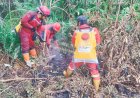 60 Titik Panas Menyala di Riau, Satgas Karhutla Kepung Api di Rohil dan Bengkalis