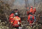 18 Titik Panas Menyala di Riau, Manggala Agni Taklukkan Karhutla di Tanjung Kapal Rupat Bengkalis