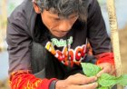 Menyemai Harapan dari Pohon Cabai, Kisah Abdul Rozzaq Kepala Keluarga Penyintas Banjir Sumatera
