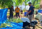 Pemuda Adat Suku Bonai Perkuat Kapasitas Peternakan Melalui Program Semarak Riau PHR