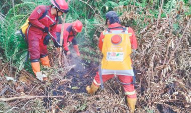 60 Titik Panas Menyala di Riau, Satgas Karhutla Kepung Api di Rohil dan Bengkalis