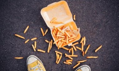 Makanan Jatuh Belum 5 Menit Benarkah Masih Bersih? Ini Kata WHO