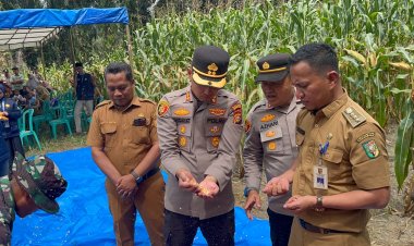 Wujud Nyata Asta Cita, Polres Kuansing dan Masyarakat Sukses Panen Raya Jagung di Sungai Bawang