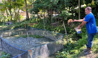 Merajut Kemandirian Ekonomi Lewat Budidaya Lele di Minas Jaya