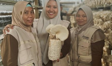 Kelompok UMKM Seroja di Kampar Menyemai Kemandirian Melalui Penguatan Kapasitas Budidaya Jamur 