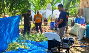 Pemuda Adat Suku Bonai Perkuat Kapasitas Peternakan Melalui Program Semarak Riau PHR