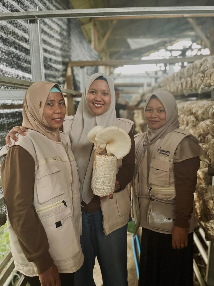 Kelompok UMKM Seroja di Kampar Menyemai Kemandirian Melalui Penguatan Kapasitas Budidaya Jamur 