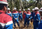 Komisi III DPRD Riau Tinjau Progres Pemulihan Lahan TTM PHR di Minas, Kawal Dampak Ekonomi bagi Daerah