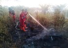 14 Titik Panas Menyala di Riau, 1 Hektare Gambut Terbakar di Air Hitam Pekanbaru, Manggala Agni Ingatkan Jangan Bakar Lahan