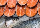 Salmon dan Ikan Kembung, Benarkah Sama-sama Bikin Otak Encer?