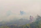 26 Titik Panas Menyala di Riau, Tim Manggala Agni Berjibaku Padamkan Karhutla di Desa Pematang Pudu Bengkalis