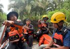 Ajib Warga Lubuk Gaung Dumai Diterkam Buaya Saat Sedang Mancing Ikan, Tim SAR Gabungan Sudah Temukan Jasad Korban
