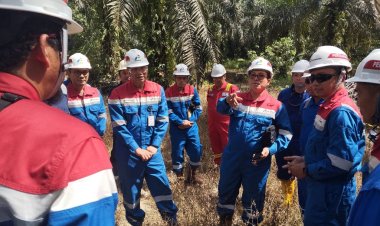 Komisi III DPRD Riau Tinjau Progres Pemulihan Lahan TTM PHR di Minas, Kawal Dampak Ekonomi bagi Daerah