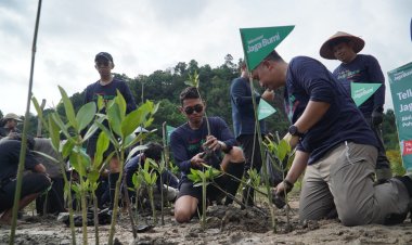 Telkomsel Jaga Bumi Movement di Pesisir Selatan, Tanam 3.000 Pohon Mangrove untuk Lingkungan Berkelanjutan 