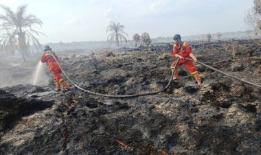 Tim Manggala Agni Padamkan Karhutla 2 Hektare di Dusun Pulau Putri Rokan Hilir
