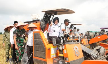 Dari Mustahik Menuju Mandiri, Sembilan Petani Bungaraya Sukses Gelar Panen Perdana