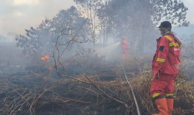 43 Titik Panas Menyala di Riau, Tim Manggala Agni Menginap Dekat Lokasi Karhutla Desa Pematang Pudu Bengkalis