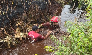 Personel Manggala Agni Kuras Lumpur Kanal Cacing untuk Padamkan Karhutla di Pematang Pudu Bengkalis