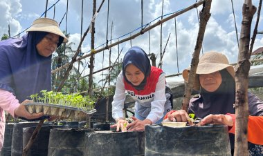 Manisnya Melon Premium untuk Petani Milenial Berkat Sentuhan Chaidir Saleh, Mentor Sekolah Lapang Pertamina EP Field Rantau