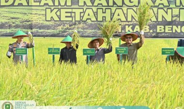 DPRD Bengkalis Perkuat Sinergi Wujudkan Ketahanan Pangan Melalui Panen Raya