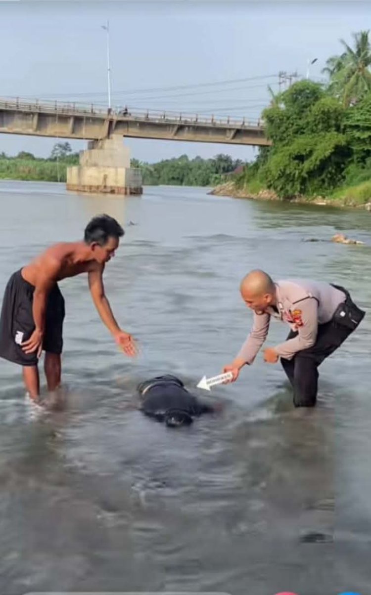 Ditemukan Mayat Pria Mengapung di Sungai Rokan, Polisi Pastikan Tak Ada Tanda Kekerasan