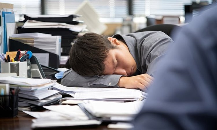 Tidur Siang Pada  Waktu yang Tepat Bisa  Bantu Tingkatkan  Produktivitas