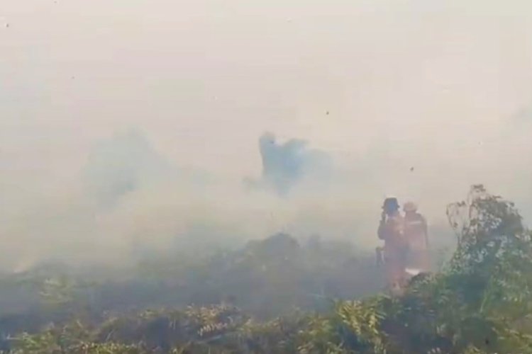 26 Titik Panas Menyala di Riau, Tim Manggala Agni Berjibaku Padamkan Karhutla di Desa Pematang Pudu Bengkalis