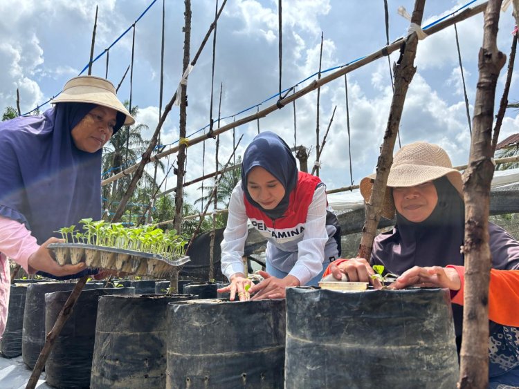 Manisnya Melon Premium untuk Petani Milenial Berkat Sentuhan Chaidir Saleh, Mentor Sekolah Lapang Pertamina EP Field Rantau