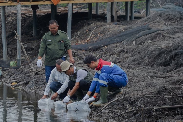 Peringati Hari Mangrove Sedunia, Pertamina EP Pangkalan Susu Tanam 2.500 Bibit Bakau di Langkat