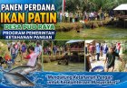 Panen Perdana Ikan Patin Desa Puo Raya Dukung Program Ketahanan Pangan