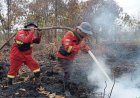 Hotspot Riau Turun Jadi 223 Titik, Pelalawan Masih Jadi Wilayah Terbanyak