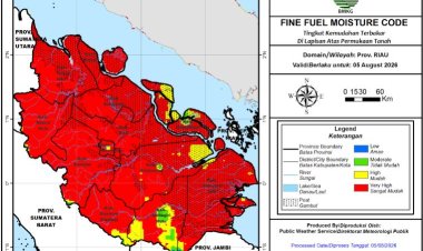 44 Titik Panas Menyala di Riau, Manggala Agni Terkendala Krisis Sumber Air hingga Arah Angin yang Berubah-ubah