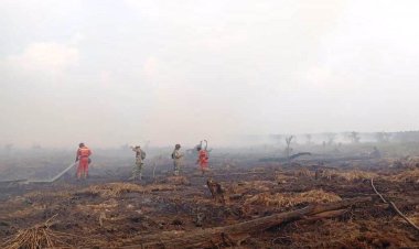 45 Titik Panas Menyala di Riau, Tim Manggala Agni Berpacu dengan Angin di Lokasi Karhutla