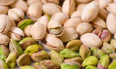 Kacang Pistacio  Bantu Jaga Kesehatan Jantung dan Gula Darah