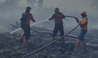 143 Titik Panas Menyala di Riau, Api di Sejumlah Titik Berhasil Dijinakkan Satgas Karhutla