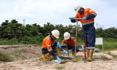 Sinergi PHR dan Negara Dorong Pemulihan Lingkungan dan Manfaat Ekonomi Daerah, Program Pemulihan TTM WK Rokan Terus Berjalan