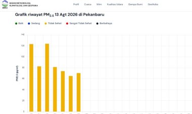 Kualitas Udara Pekanbaru Tidak Sehat 13 Agustus 2026, 158 Titik Panas Menyala di Riau, Forkopimda Patroli Udara Karhutla