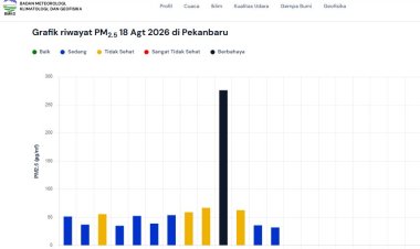 Kualitas Udara Pekanbaru Sempat Berbahaya 18 Agustus 2026, Konsentrasi Partikulat 276 µg/m³, Diduga Asap Kiriman Pelalawan