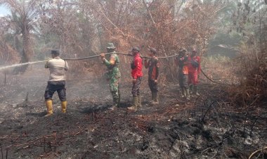 87 Titik Panas Menyala di Riau, Terbanyak di Pelalawan 40 Hotspot, Tim Gabungan Perangi Karhutla di Tiga Lokasi