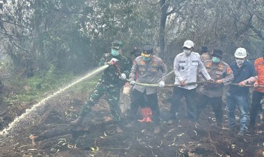 Pangdam XIX Tuanku Tambusai dan Forkopimda Riau Turut Padamkan Karhutla di Kerumutan Pelalawan