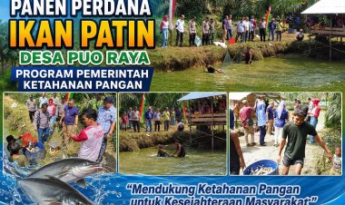 Panen Perdana Ikan Patin Desa Puo Raya Dukung Program Ketahanan Pangan