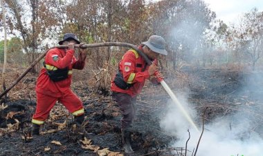 Hotspot Riau Turun Jadi 223 Titik, Pelalawan Masih Jadi Wilayah Terbanyak