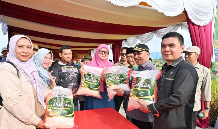 DPRD Bengkalis Dukung Penguatan Sektor Pertanian, Hadiri Panen Raya Program Ketahanan Pangan Nasional di Siak Kecil