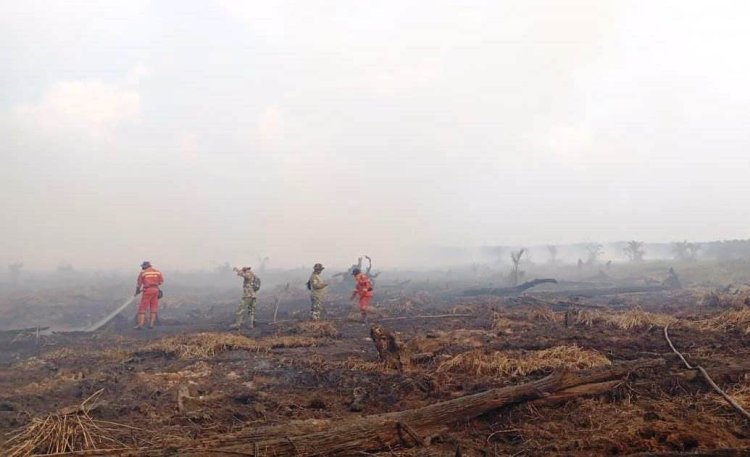 45 Titik Panas Menyala di Riau, Tim Manggala Agni Berpacu dengan Angin di Lokasi Karhutla