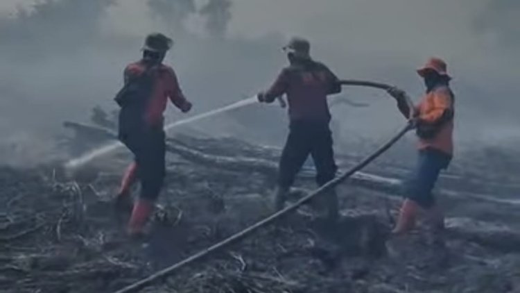143 Titik Panas Menyala di Riau, Api di Sejumlah Titik Berhasil Dijinakkan Satgas Karhutla