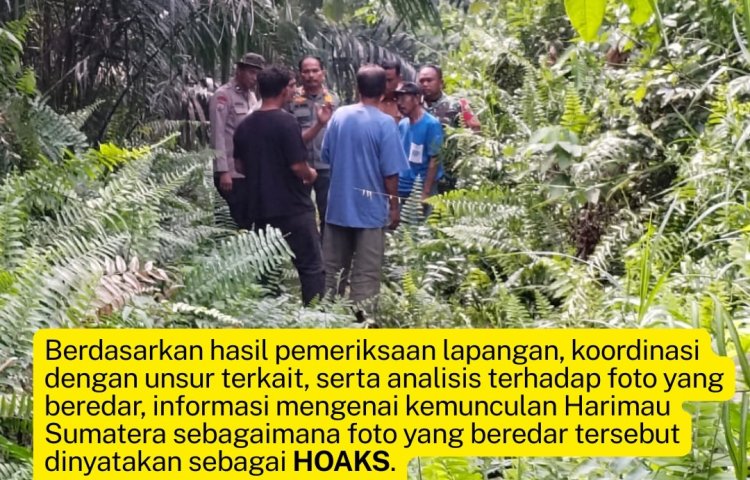 Informasi Harimau Muncul di Pasir Putih Kampar Hoaks, BBKSDA Riau: Tak Ada Jejak di Lokasi