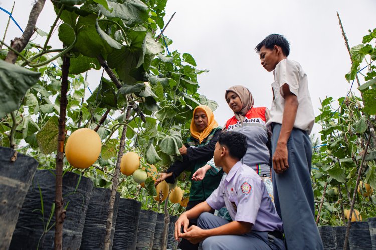 Pertamina EP Rantau Field Gelar Wisata Petik Melon dan Re-Opening Kafe Inklusi, Perkuat Pemulihan Mitra Binaan Pascabanjir