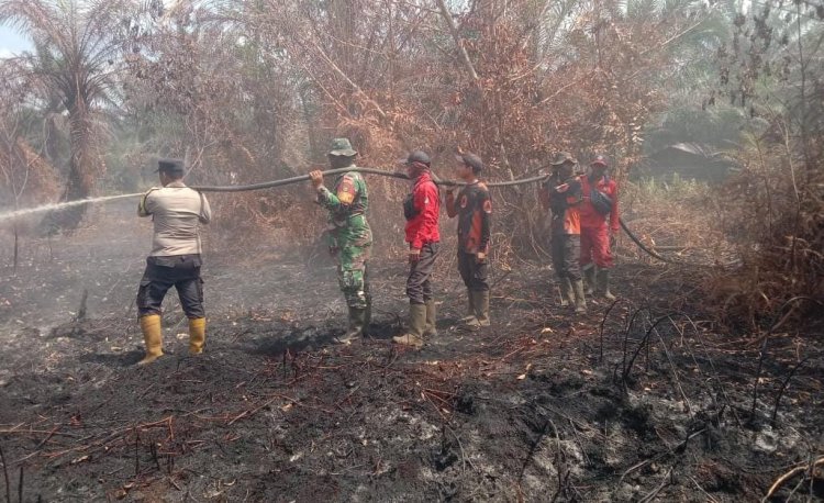 87 Titik Panas Menyala di Riau, Terbanyak di Pelalawan 40 Hotspot, Tim Gabungan Perangi Karhutla di Tiga Lokasi