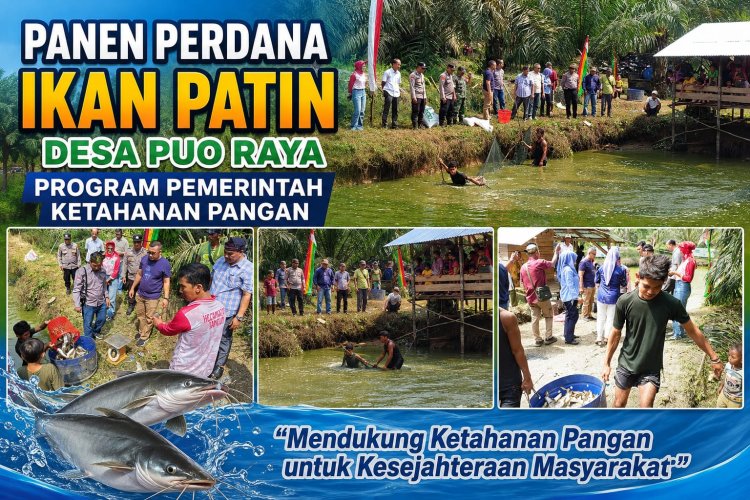 Panen Perdana Ikan Patin Desa Puo Raya Dukung Program Ketahanan Pangan